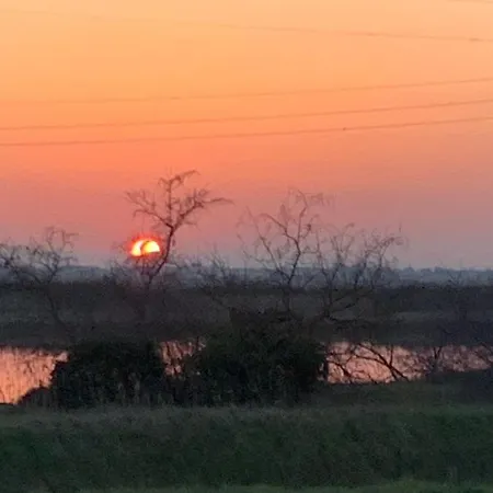 Golden Ravenna- Large In Center * ראבנה