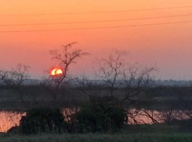 Golden Ravenna- Large In Center * Ravenna